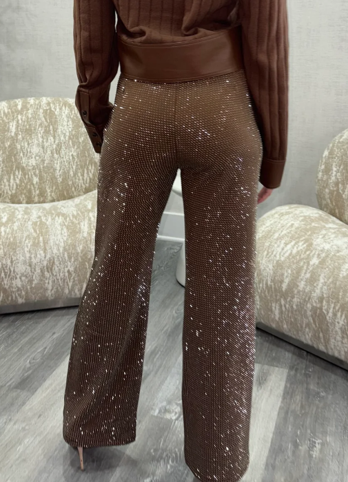 Pants  brown shiny